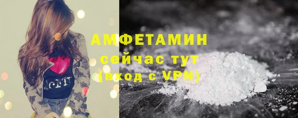 мдпв Заводоуковск