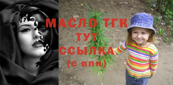 мдпв Заводоуковск
