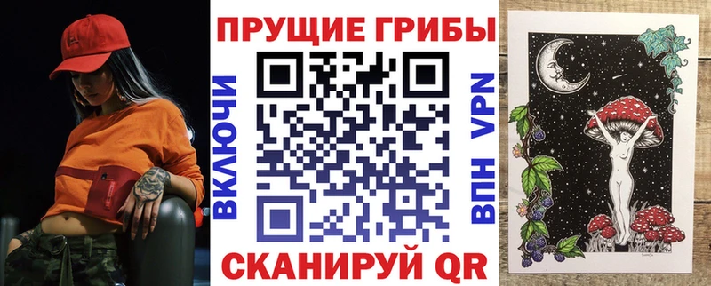 сколько стоит  Кедровый  Псилоцибиновые грибы MAGIC MUSHROOMS 